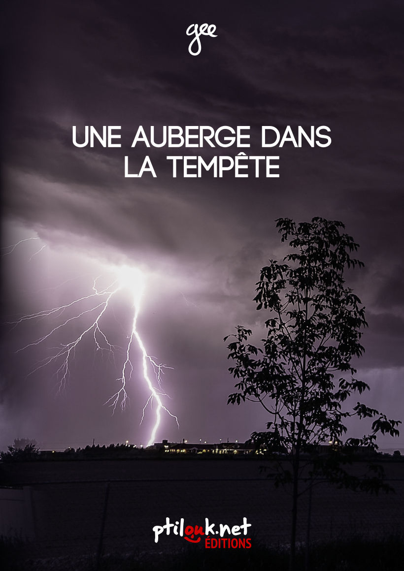 Couverture de « Sortie de _Une Auberge dans la tempête_
 »